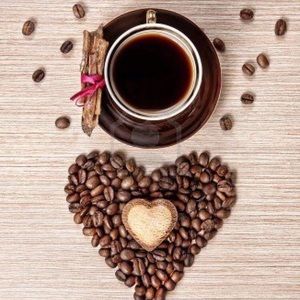 Meet your Posher, Stella